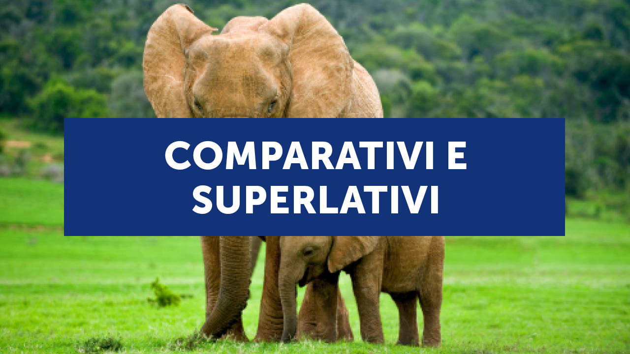 Come si formano i comparativi e i superlativi in inglese (con esercizi)