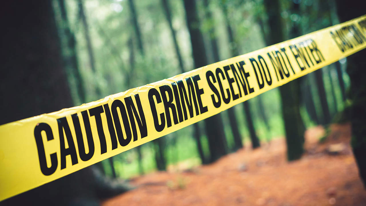 Everyone's Watching: True Crime