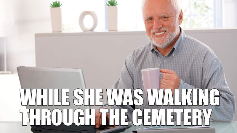 419 Meme b Shutter