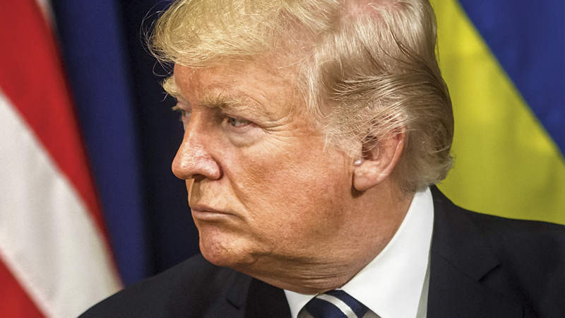 460 Rebecca Solnit Trump Shutter