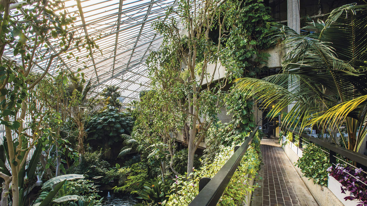 The Barbican: Brutalist Beauty