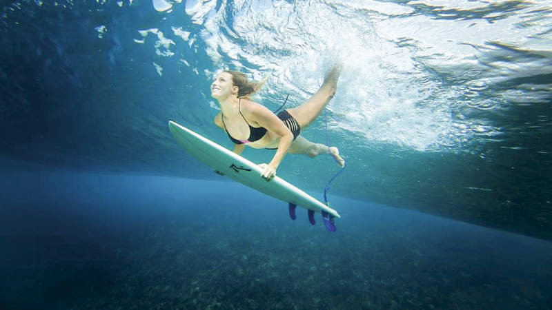 449 How to Surf freeimage