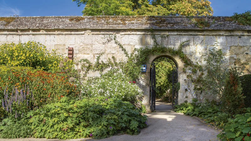 444 Oxford Botanic Garden 3 Shutter