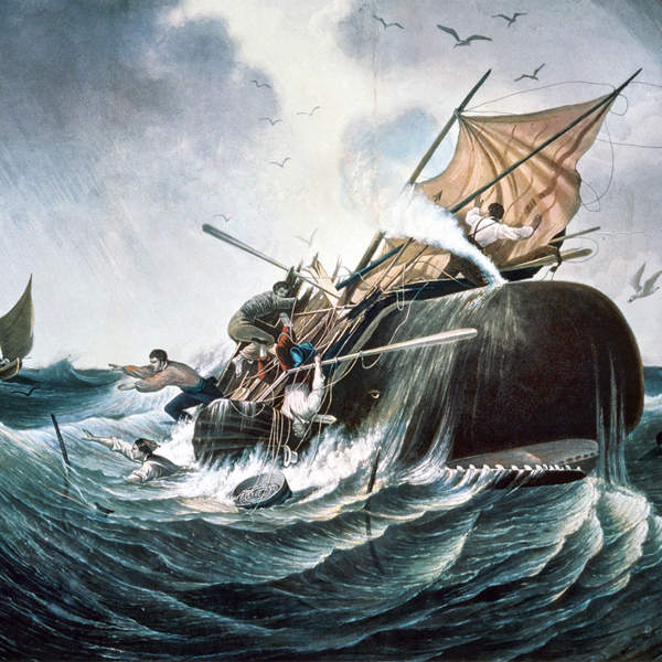 "Moby-Dick or The Whale" by Herman Melville