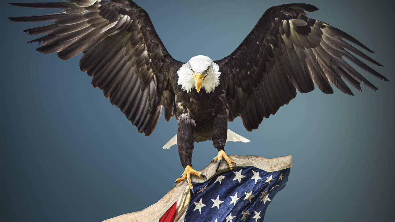 463 THE BALD EAGLE FLAG Istock