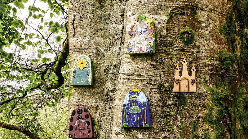 438 The Fairy Folks b Shutter