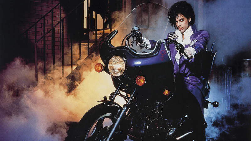 411 Wear Purple every day d freeimage