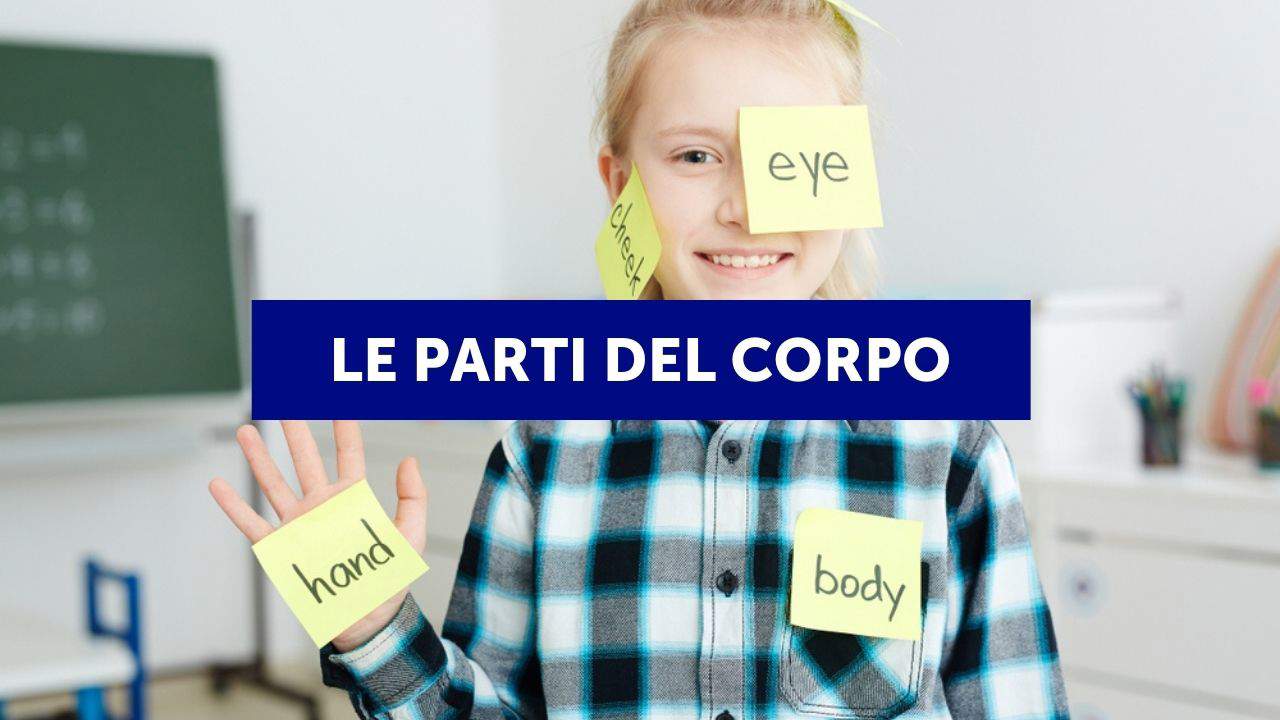 Grammar     (2)
