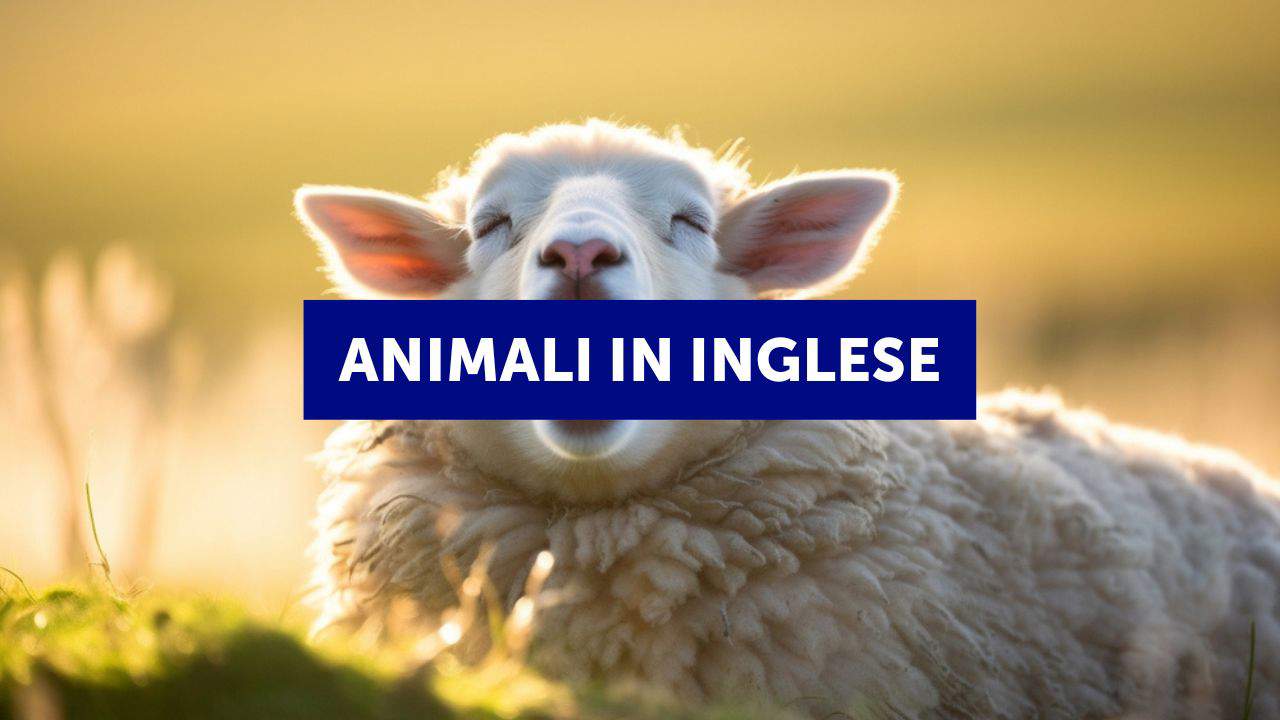 Gli animali in inglese